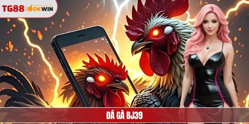 đá gà bj39