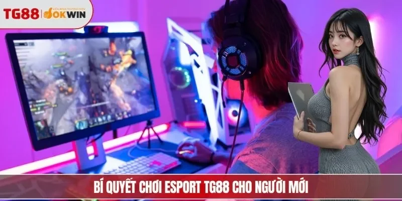 Bí quyết chơi Esport TG88 cho người mới