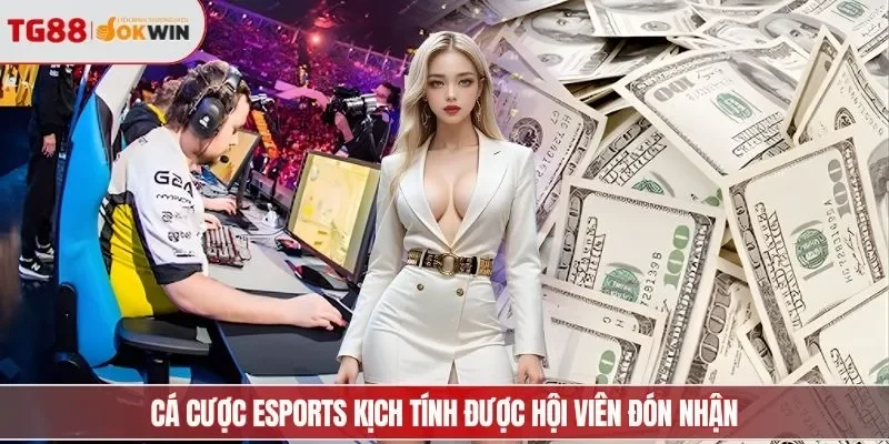 Cá cược Esports kịch tính được hội viên đón nhận