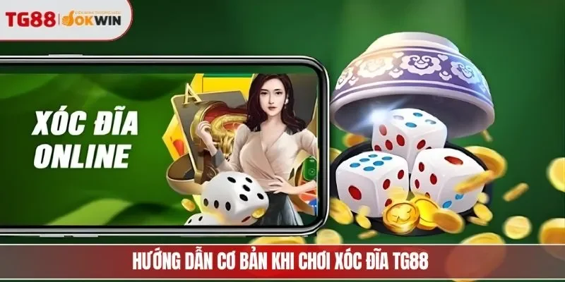 Hướng dẫn cơ bản khi chơi xóc đĩa TG88 